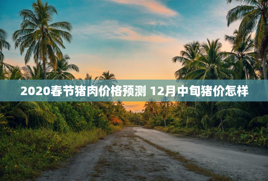 2020春节猪肉价格预测 12月中旬猪价怎样
