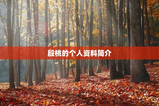 殷桃的个人资料简介