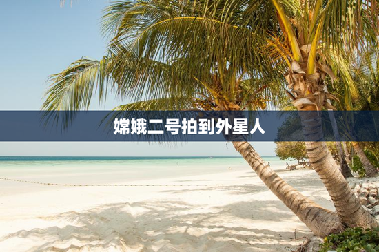 嫦娥二号拍到外星人