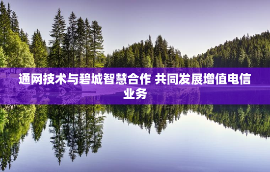 通网技术与碧城智慧合作 共同发展增值电信业务
