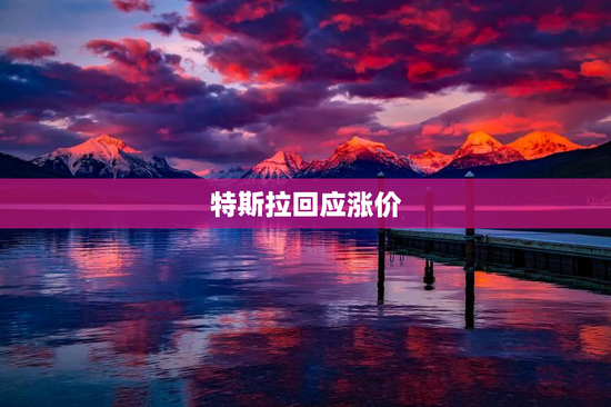 特斯拉回应涨价