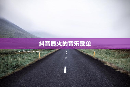 抖音最火的音乐歌单