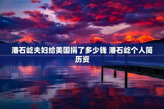 潘石屹夫妇给美国捐了多少钱 潘石屹个人简历资