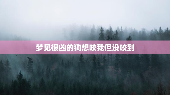 梦见很凶的狗想咬我但没咬到