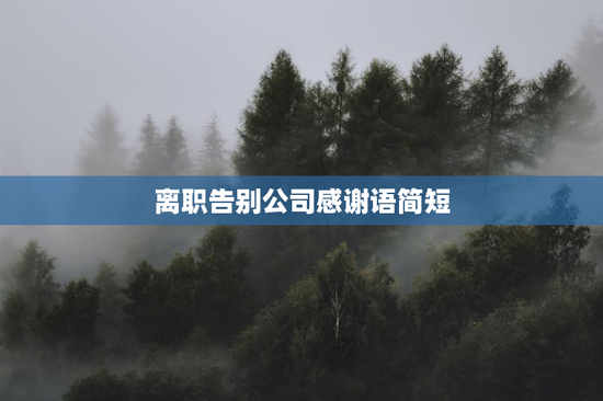 离职告别公司感谢语简短