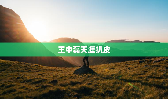 王中磊天涯扒皮
