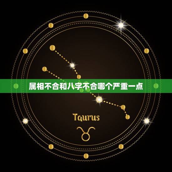属相不合和八字不合哪个严重一点(介绍属相和八字的影响力)