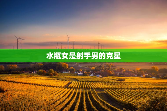 水瓶女是射手男的克星