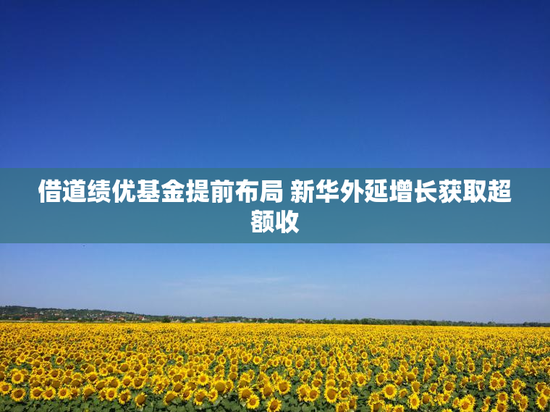 借道绩优基金提前布局 新华外延增长获取超额收
