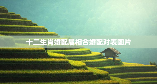 十二生肖婚配属相合婚配对表图片，十二生肖婚姻配对大全图片