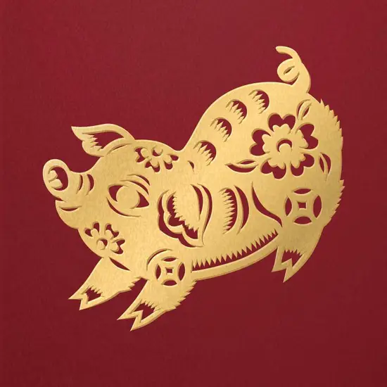 2023年属猪健康运势(预测健康状况稳定需注意饮食和运动)