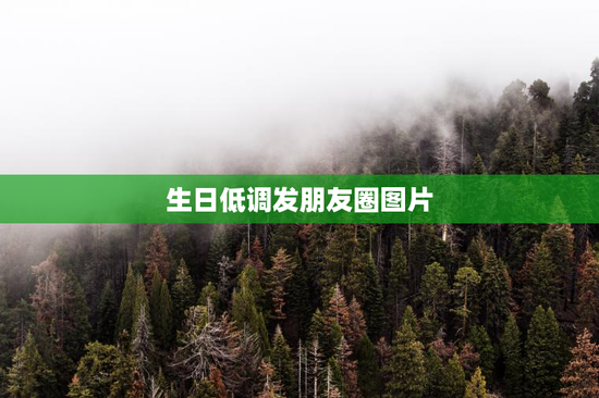 生日低调发朋友圈图片