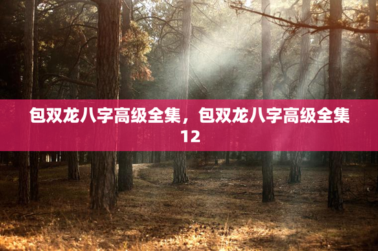 包双龙八字高级全集，包双龙八字高级全集12