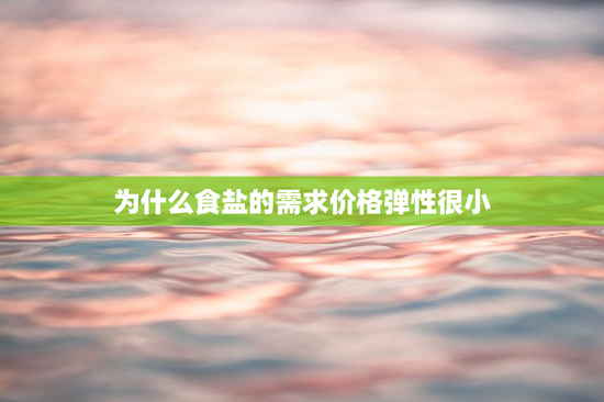 为什么食盐的需求价格弹性很小