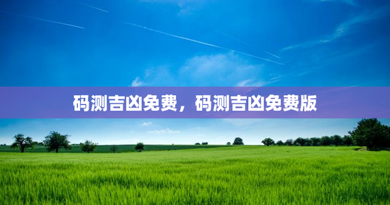 码测吉凶免费，码测吉凶免费版