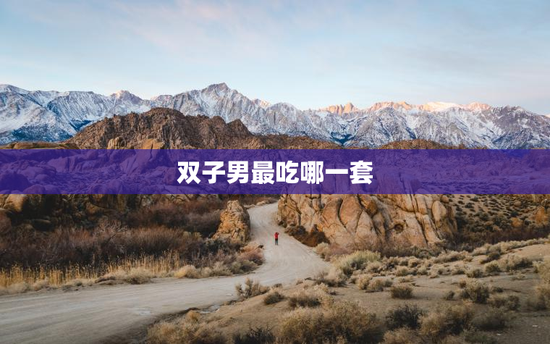 双子男最吃哪一套