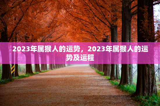 2023年属猴人的运势，2023年属猴人的运势及运程