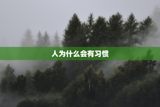 人为什么会有习惯