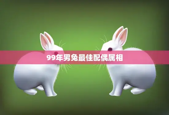 99年男兔最佳配偶属相(揭秘哪些属相最适合与兔子男结婚)
