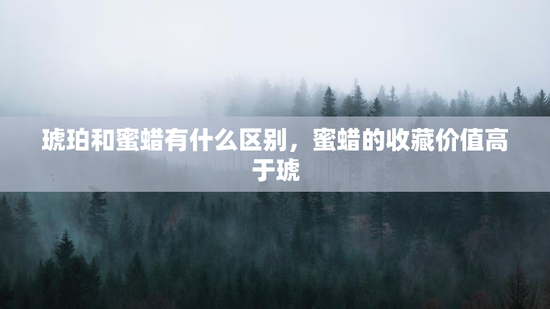 琥珀和蜜蜡有什么区别，蜜蜡的收藏价值高于琥