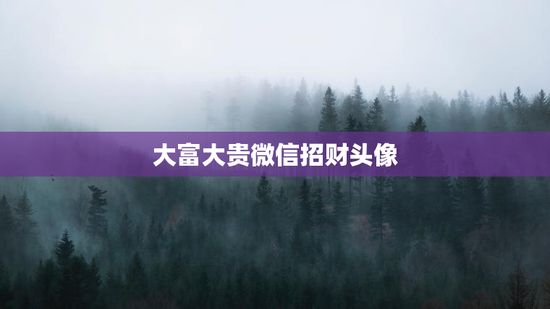 大富大贵微信招财头像