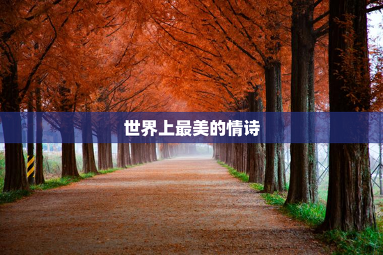 世界上最美的情诗