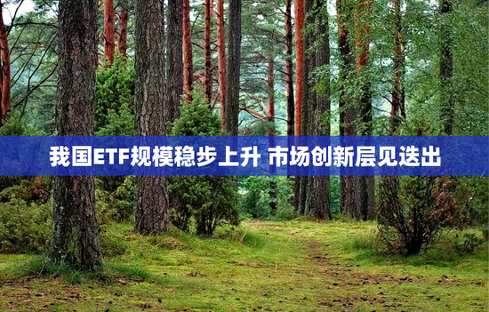 我国ETF规模稳步上升 市场创新层见迭出