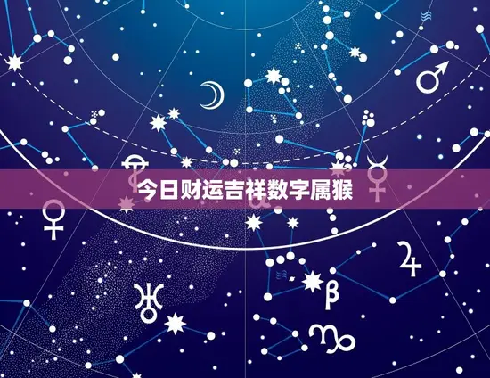 今日财运吉祥数字属猴