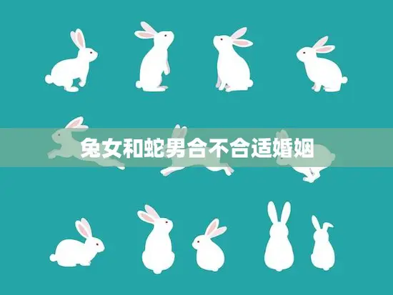 兔女和蛇男合不合适婚姻(星座配对分析)
