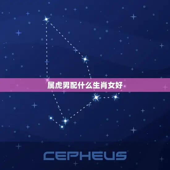 属虎男配什么生肖女好