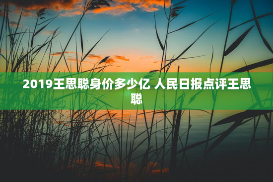 2019王思聪身价多少亿 人民日报点评王思聪