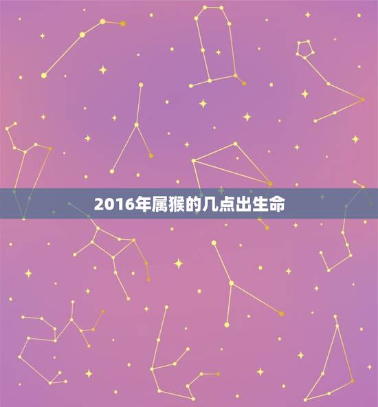 2016年属猴的几点出生命(如何抓住幸运机会)