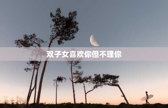双子女喜欢你但不理你
