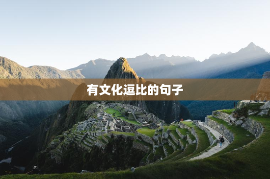 有文化逗比的句子