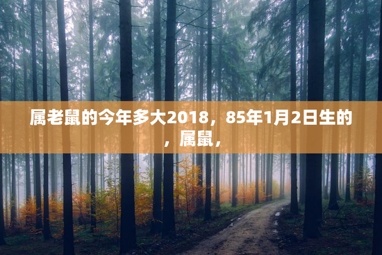 属老鼠的今年多大2018，85年1月2日生的，属鼠，