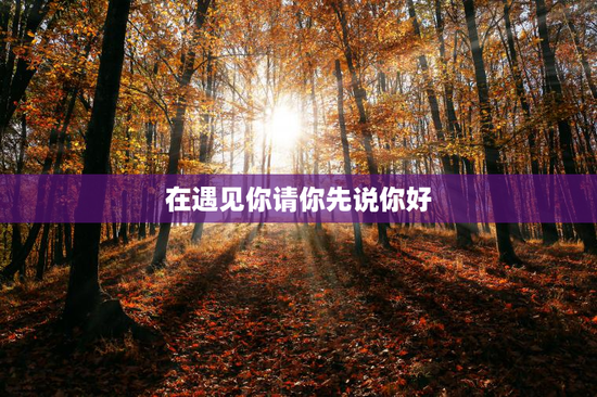在遇见你请你先说你好