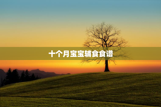 十个月宝宝辅食食谱