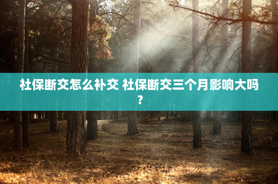 社保断交怎么补交 社保断交三个月影响大吗？