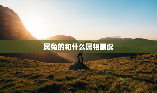 属兔的和什么属相最配