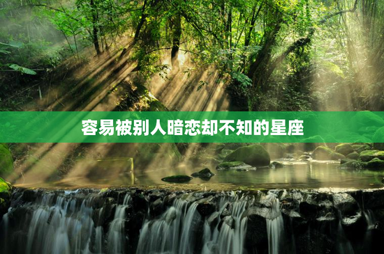 容易被别人暗恋却不知的星座