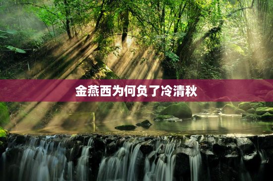 金燕西为何负了冷清秋