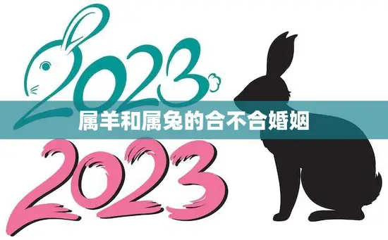 属羊和属兔的合不合婚姻(如何选择最佳伴侣)
