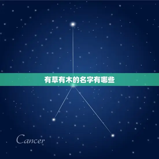 有草有木的名字有哪些