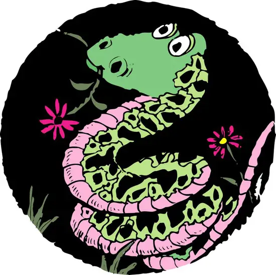 属蛇的男士戴什么吊坠好(如何选择最适合的护身符)