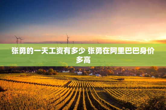 张勇的一天工资有多少 张勇在阿里巴巴身价多高