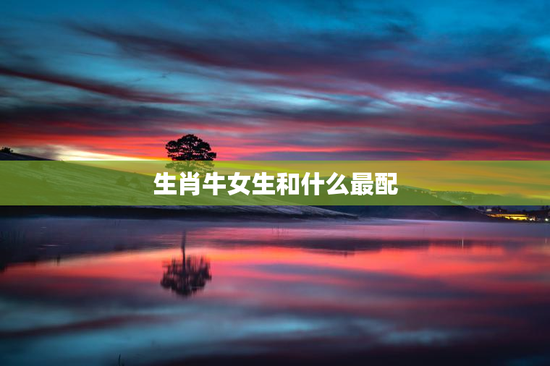 生肖牛女生和什么最配，十二生肖属牛女和什么最配