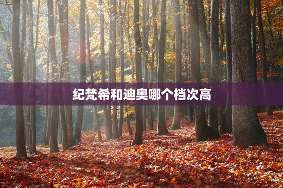 纪梵希和迪奥哪个档次高