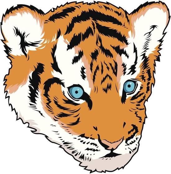 属虎和属蛇的合不合婚姻(如何选择最佳婚姻对象)