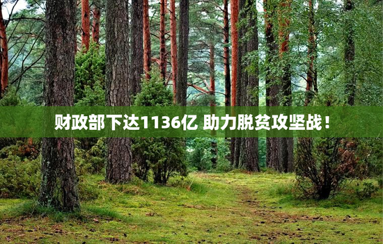 财政部下达1136亿 助力脱贫攻坚战！