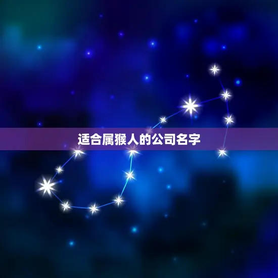 适合属猴人的公司名字